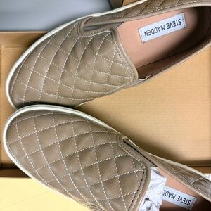 Steve Madden Grey ECENTRCQ Sneakers